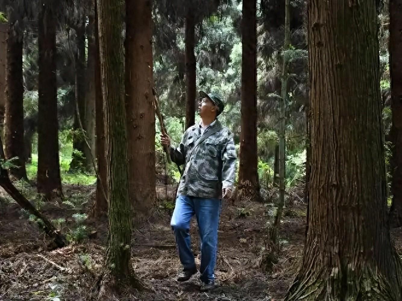 完美电竞-监守自盗！2021年，江苏一护林员2年多猎杀8只，清洗尸体时暴露